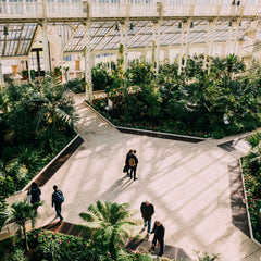 Visit to Kew Gardens with Cream Tea for Two