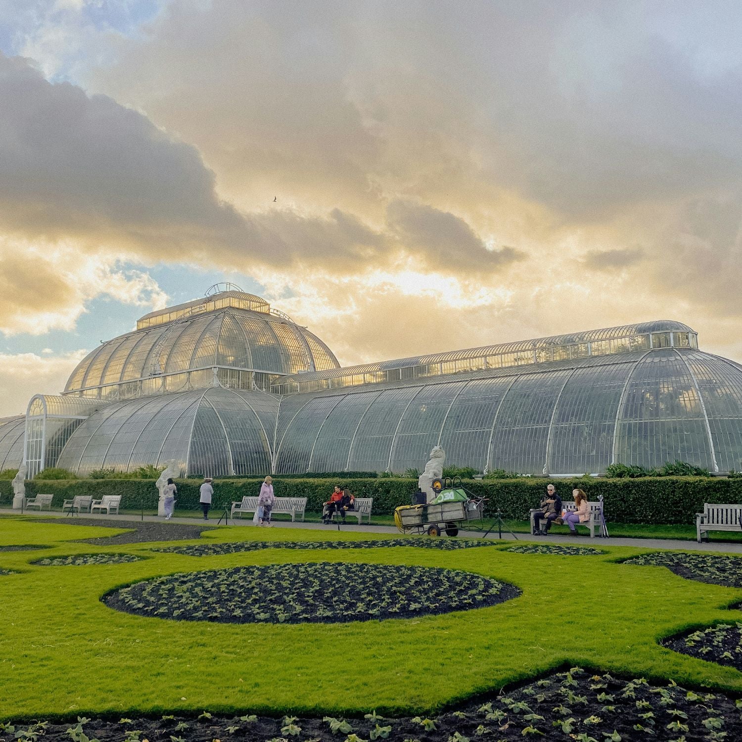 Visit to Kew Gardens with Cream Tea for Two