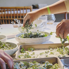 Wild Foraging, Cookery & Lunch for Two