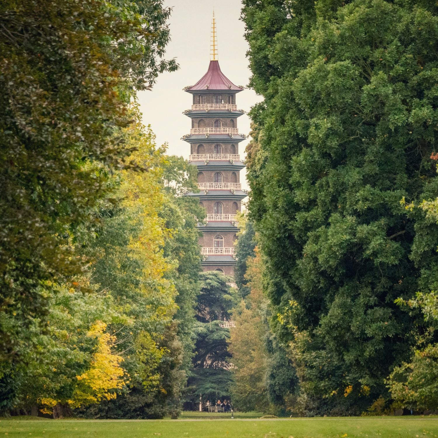 Visit to Kew Gardens with Cream Tea for Two