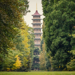Visit to Kew Gardens with Cream Tea for Two